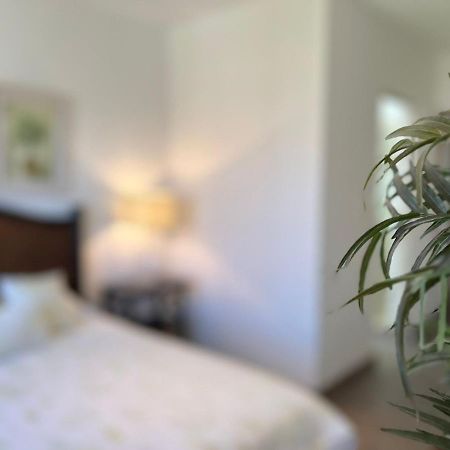 فيلا سان ميغيل دي اللينديفي Casas Vacacionales El Deseo By Picsa Administracion المظهر الخارجي الصورة